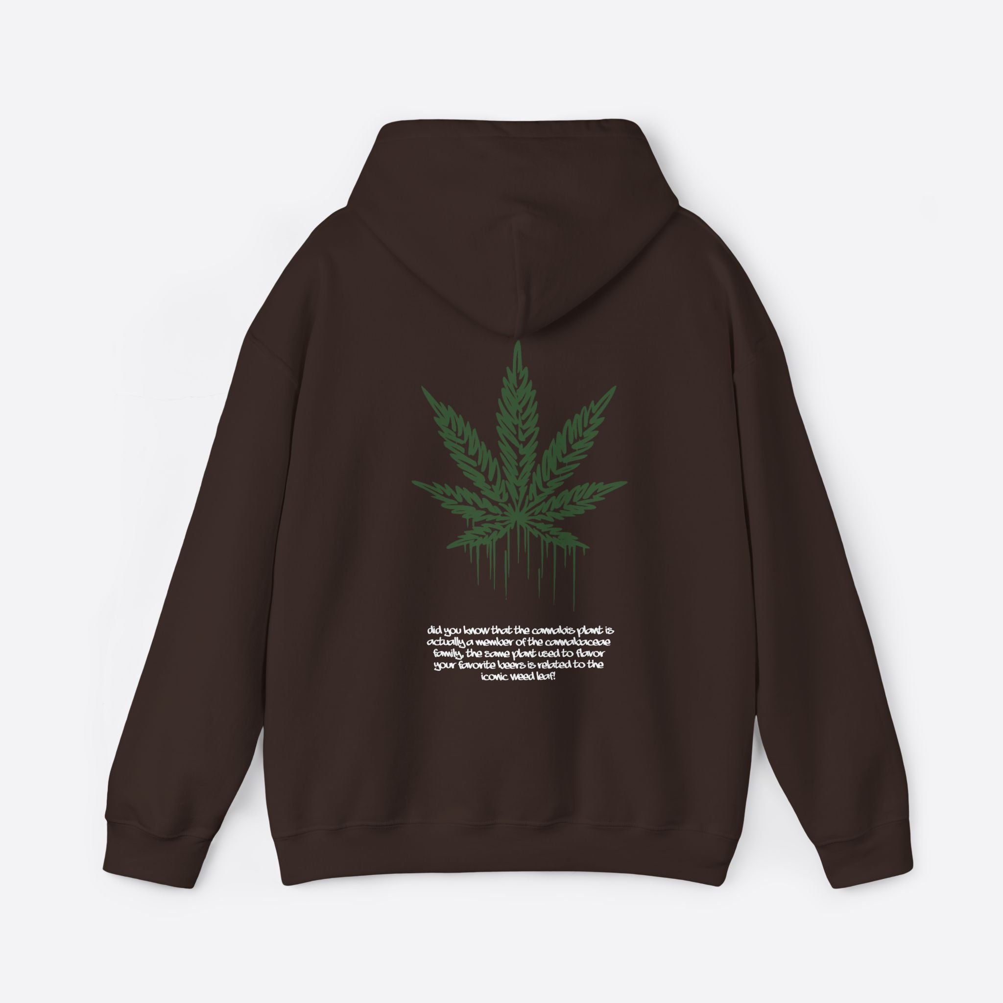 Men's Sativa Stride Hoodie – Casual and Energetic