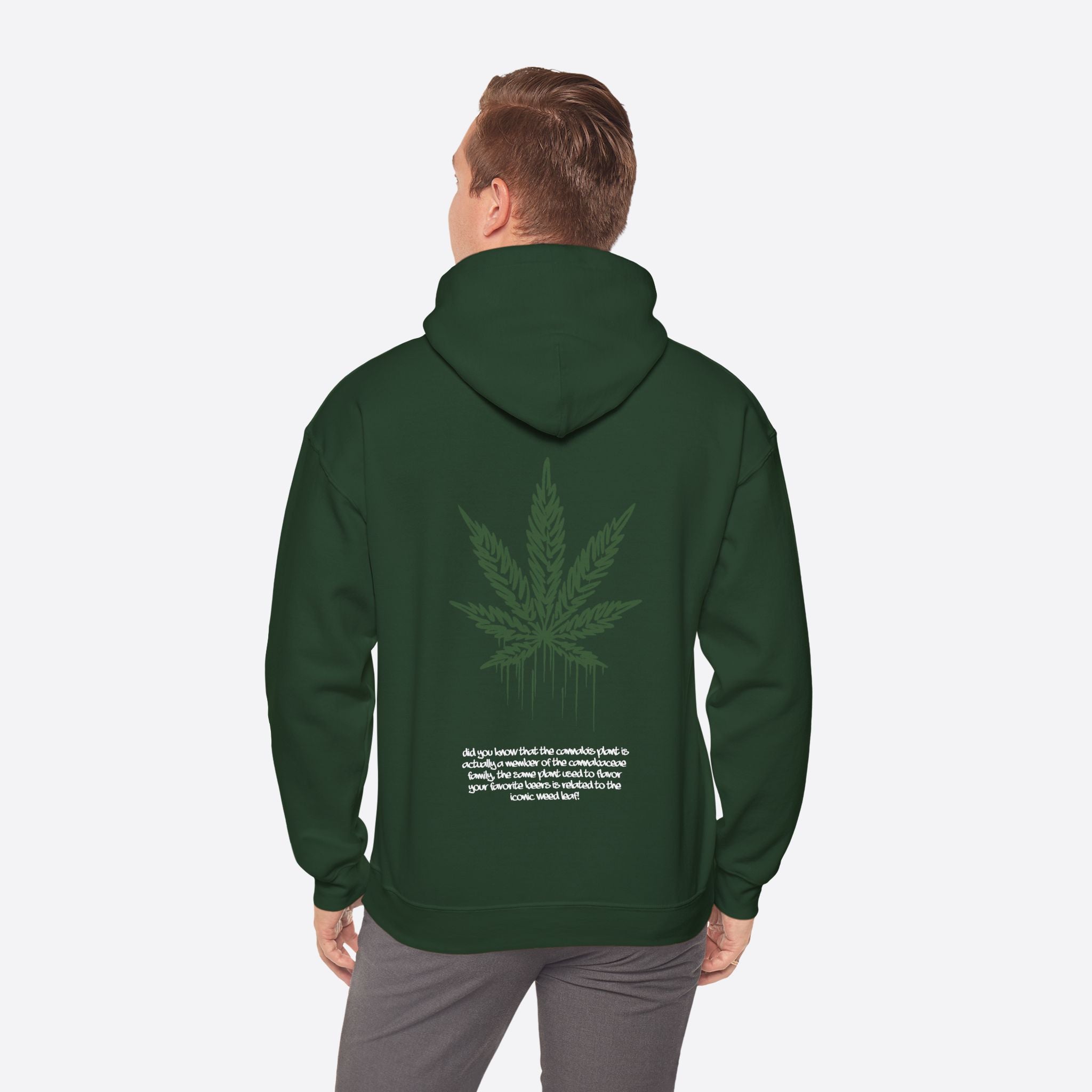 Men's Sativa Stride Hoodie – Casual and Energetic