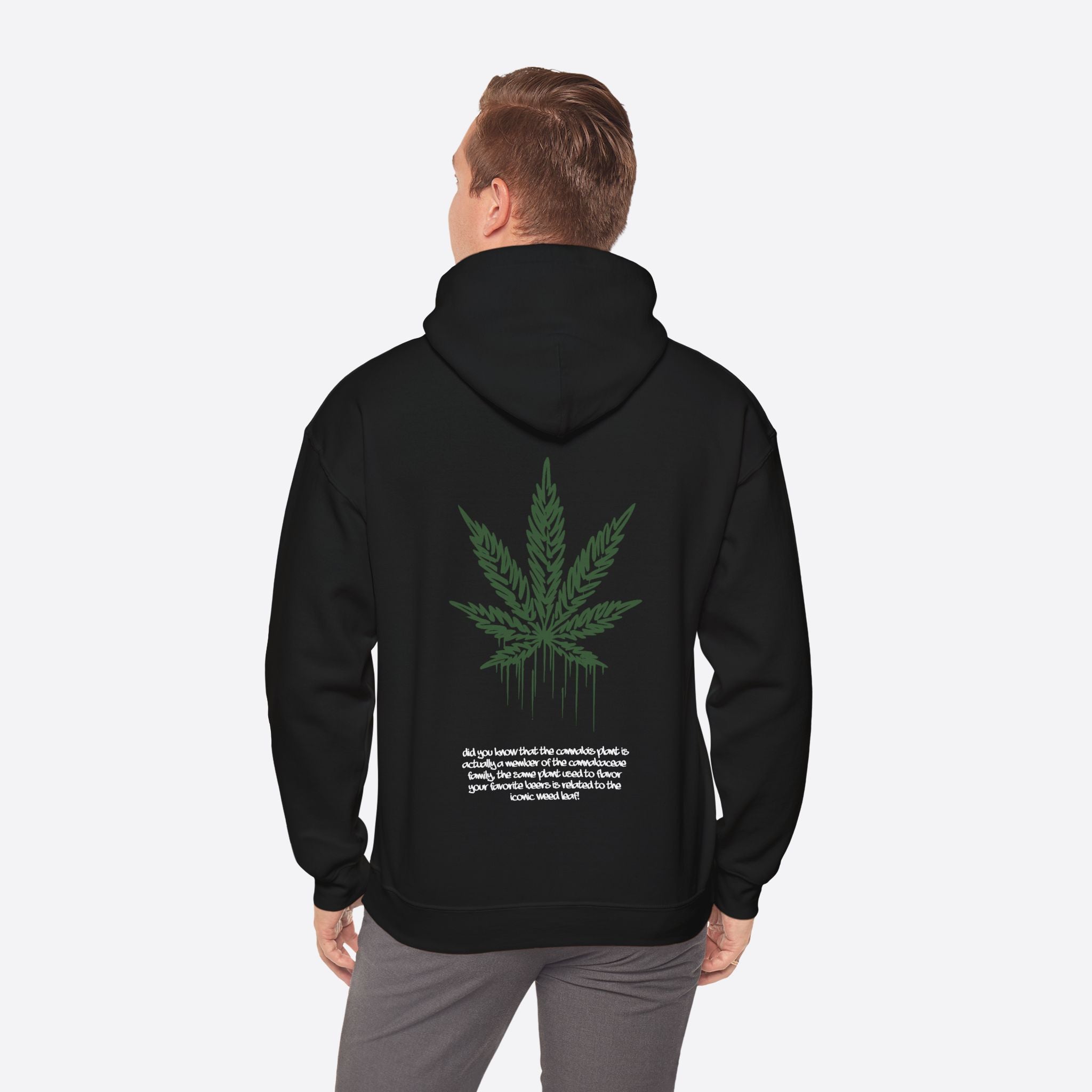 Men's Sativa Stride Hoodie – Casual and Energetic