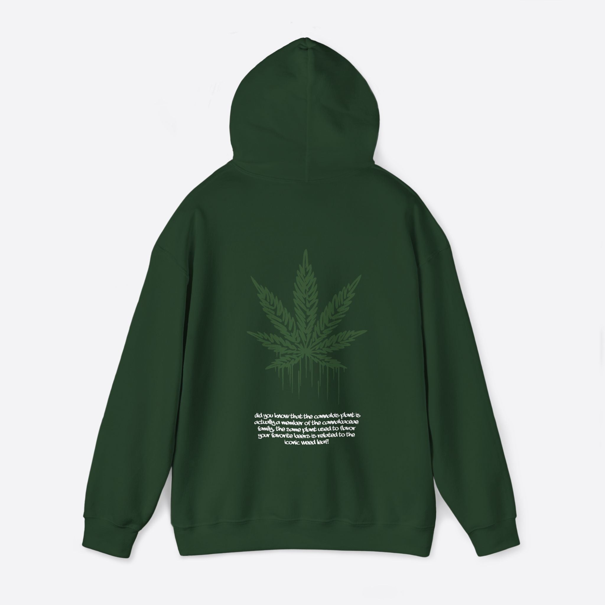 Men's Sativa Stride Hoodie – Casual and Energetic