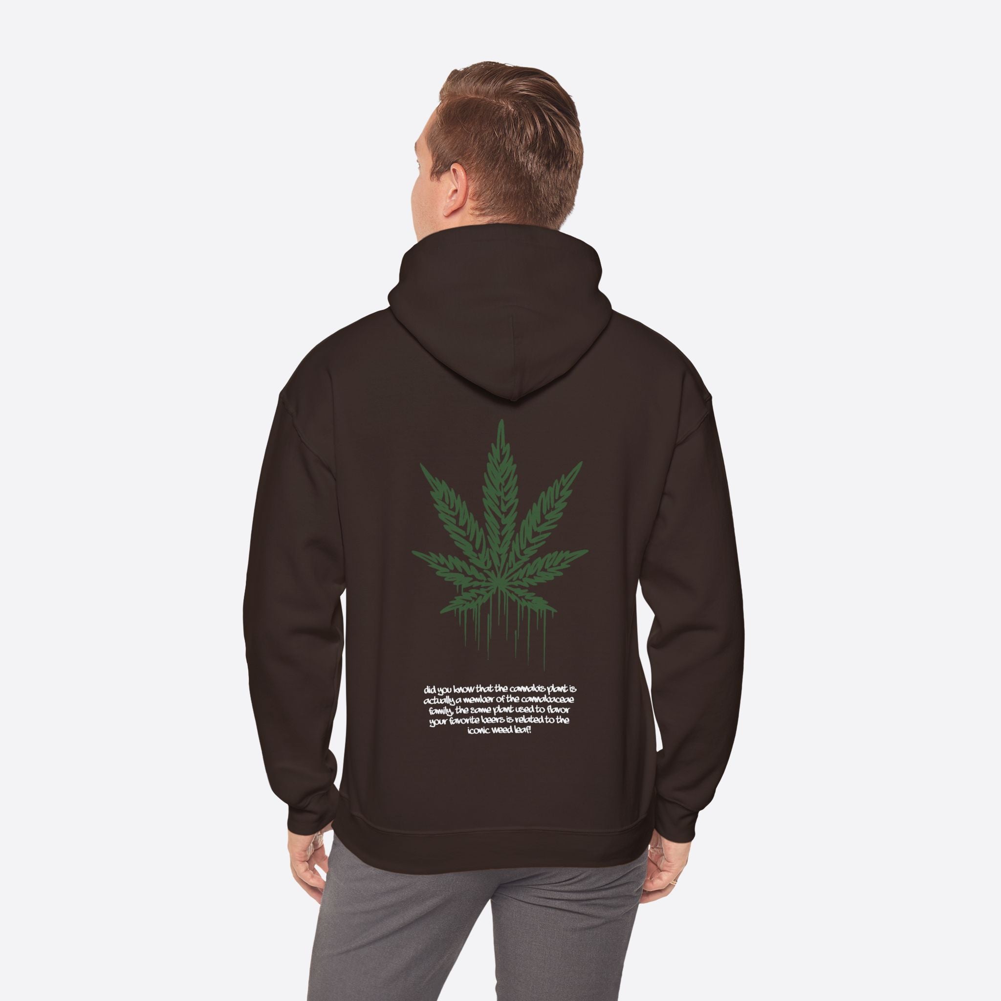 Men's Sativa Stride Hoodie – Casual and Energetic